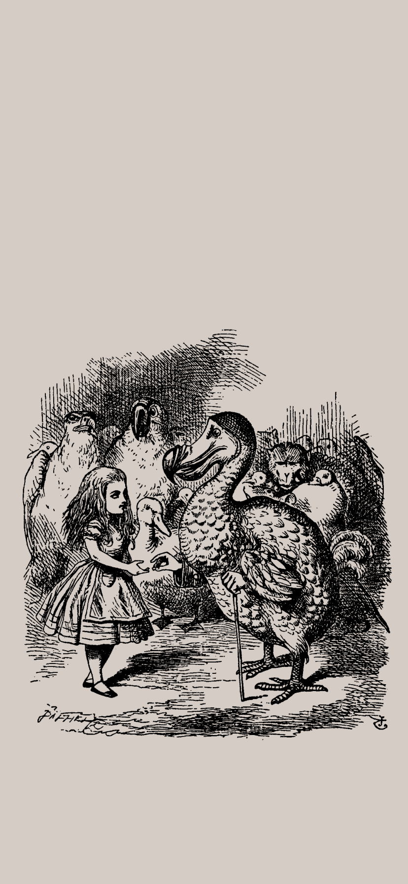 Alice and the Dodo – Alice in Wonderland Wallpaper | Wallaland