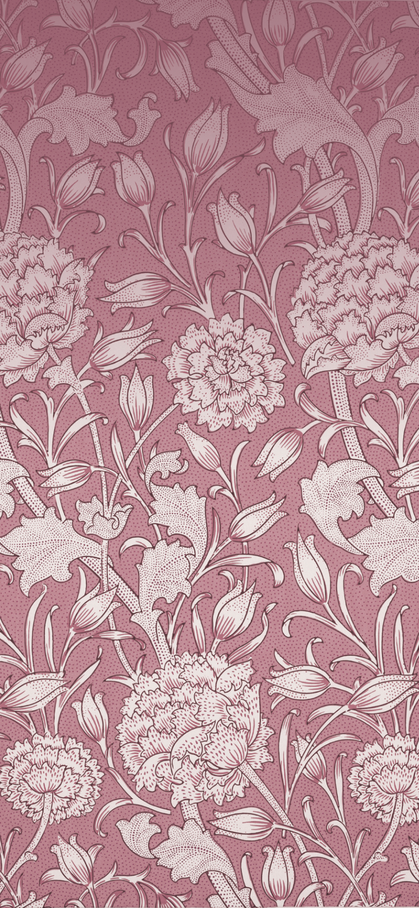Wild Tulip Pink by William Morris Vintage Floral Wallpaper | Wallaland